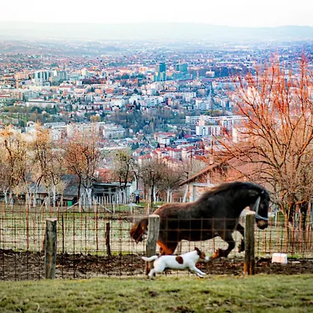 Κατάλυμα σε φάρμα Ranc Vranjes