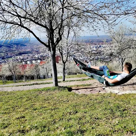 Ranc Vranjes Κατάλυμα σε φάρμα